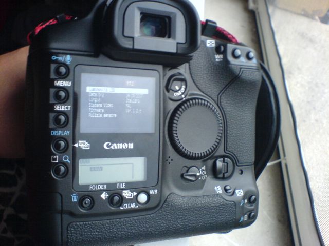 DSC00206.JPG