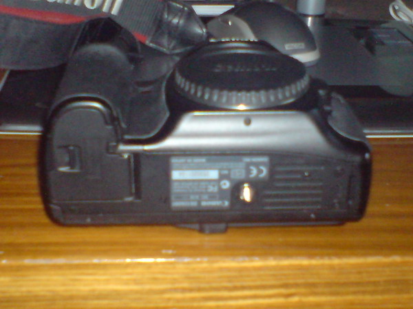 DSC00225_ridimensionare.JPG