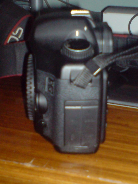 DSC00230_ridimensionare.JPG