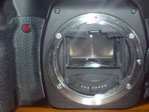 DSC00231_ridimensionare.JPG