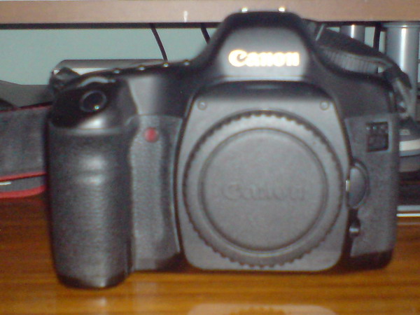DSC00232_ridimensionare.JPG