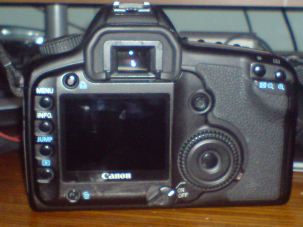 DSC00233_ridimensionare.JPG