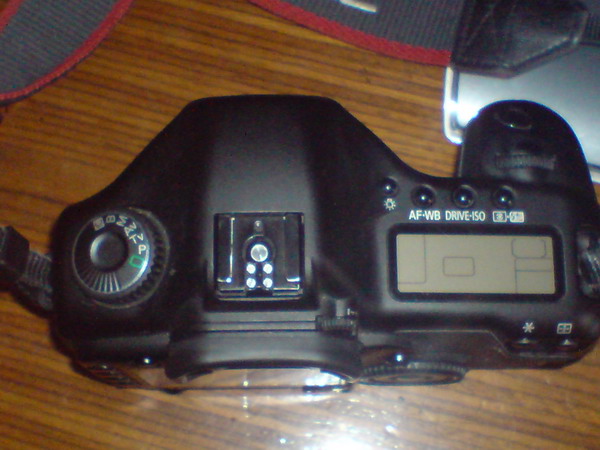 DSC00234_ridimensionare.JPG