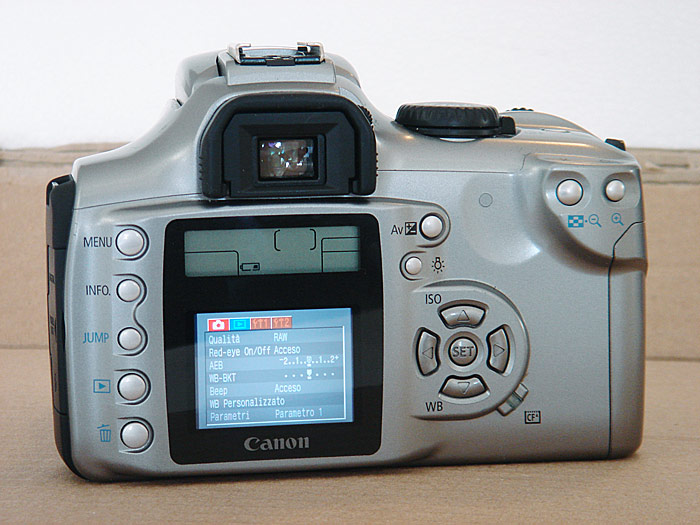 DSC00252_back.jpg