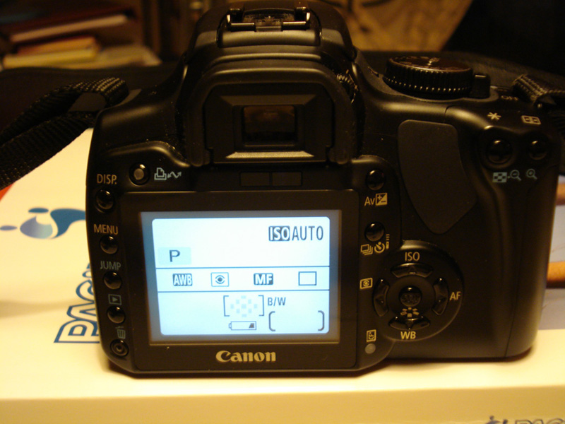 DSC00370_800.jpg