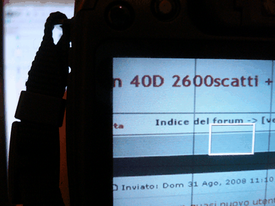 DSC00613_tn.gif