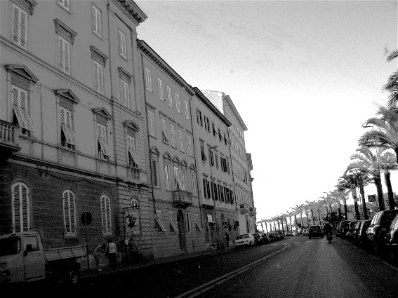 DSC00938.JPG