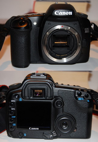 dsc0122sp1it5.jpg