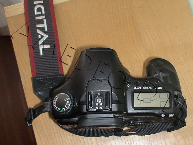 DSC01319.jpg