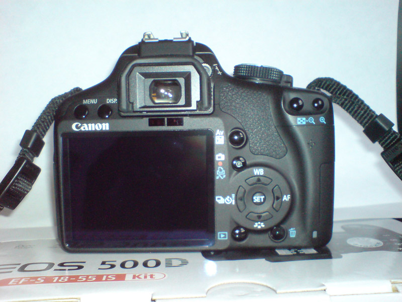 DSC01558.JPG