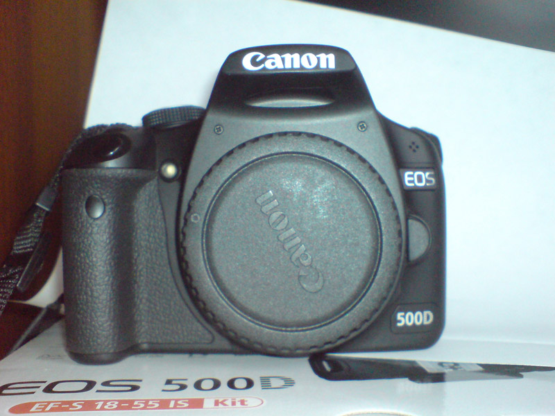 DSC01559.JPG