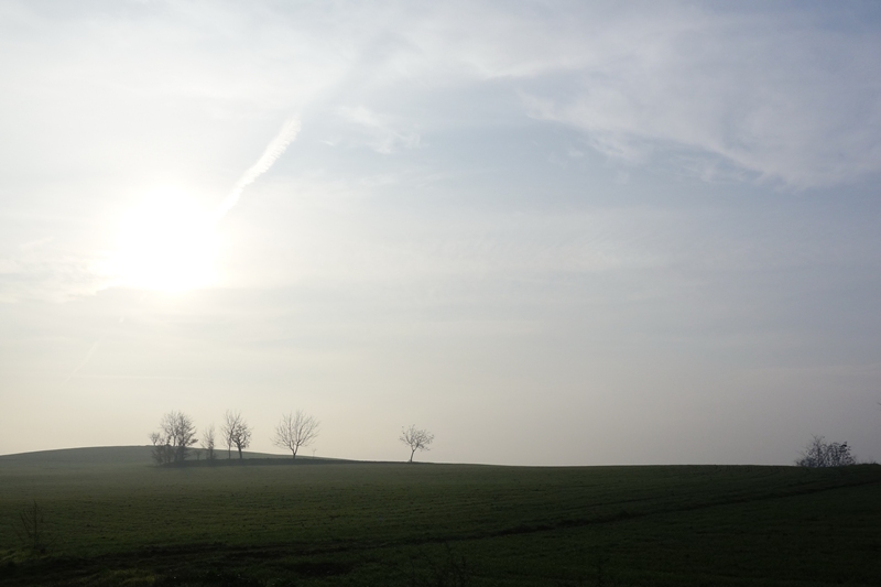 DSC01656.JPG
