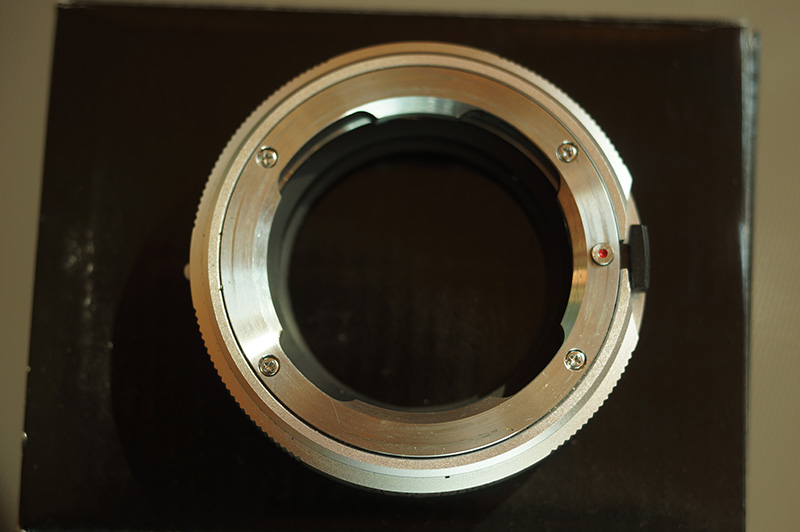 DSC02445.JPG