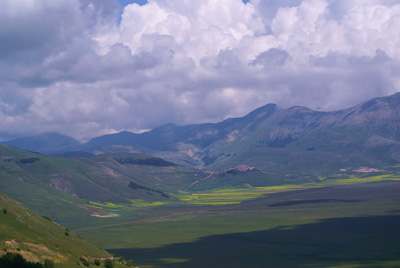 DSC02490.jpg