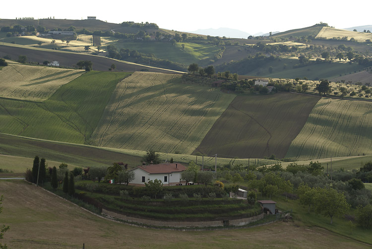 DSC02898raw.jpg