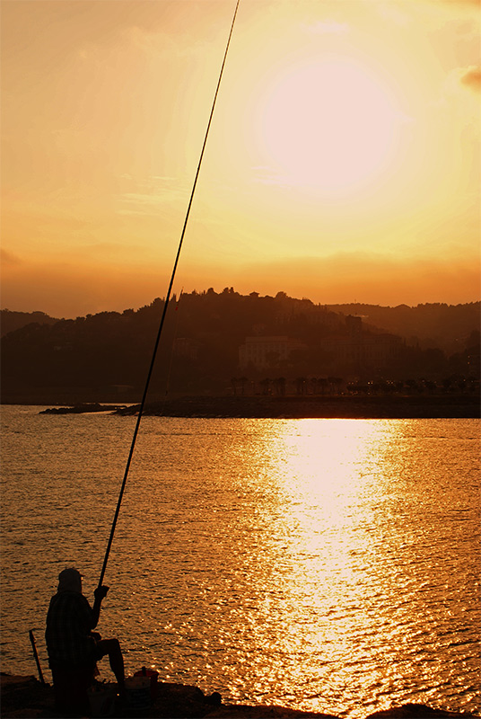 DSC03215.jpg