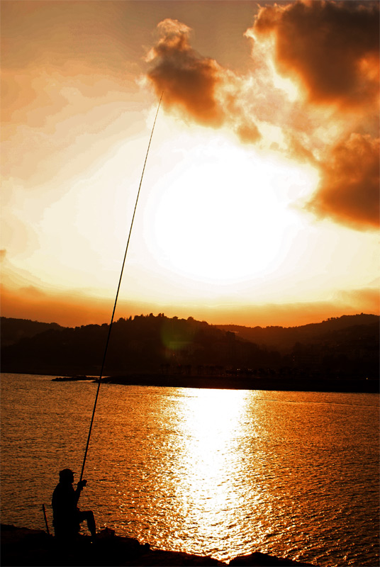 DSC03216.jpg