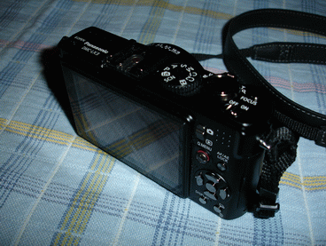 DSC03240.gif