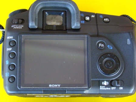 DSC03355.JPG