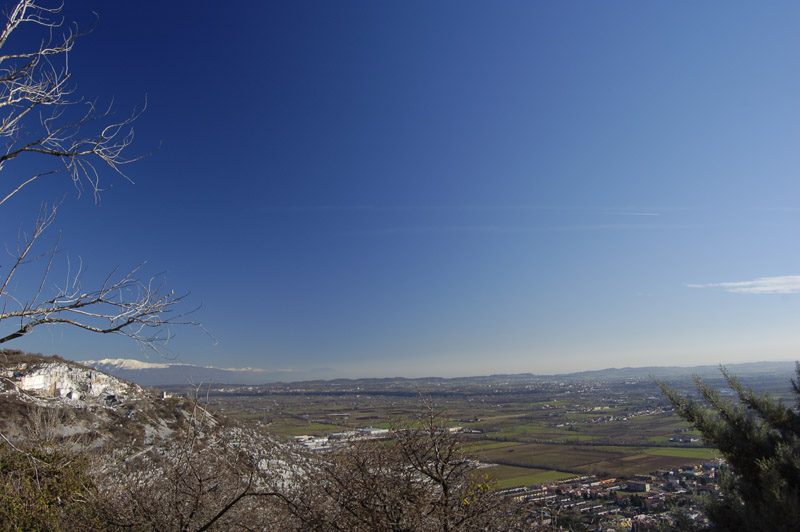 DSC0373.jpg