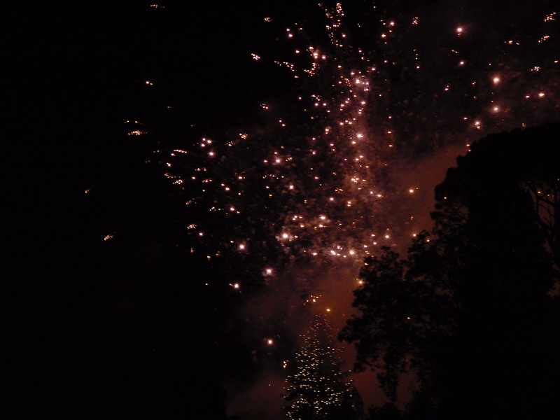 DSC04289_resize.JPG