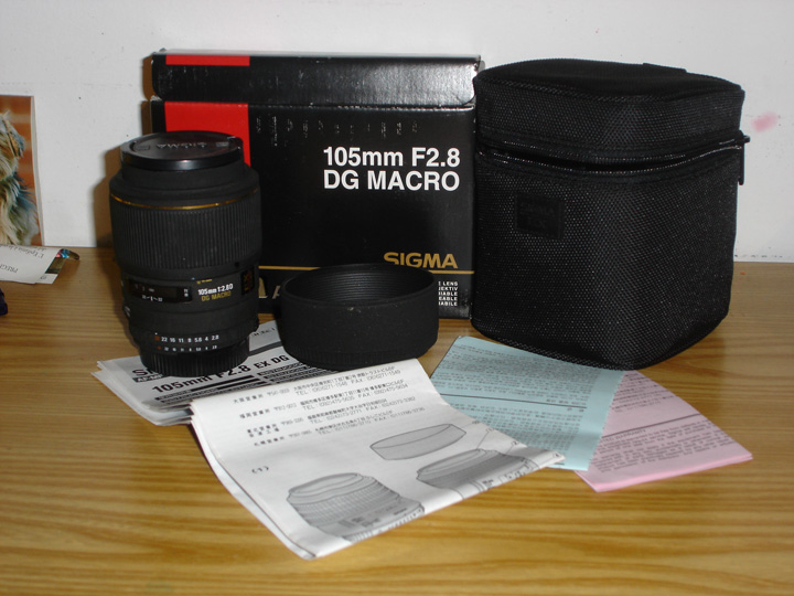 DSC04633.jpg