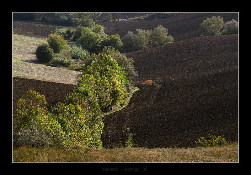 DSC04926webp.jpg