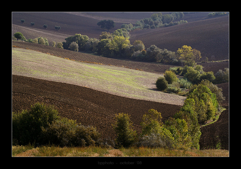 DSC04927webp.jpg
