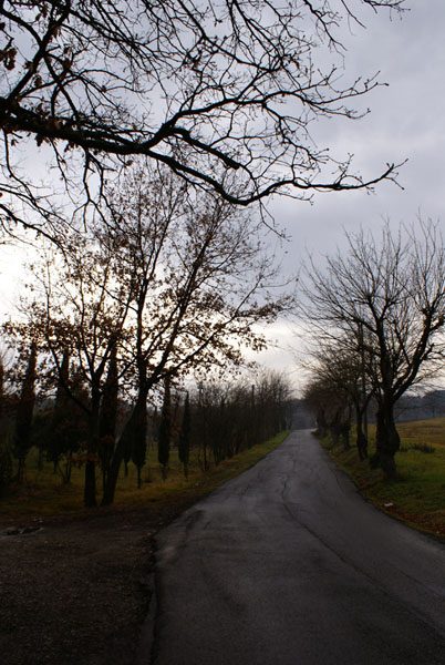 DSC04935original.jpg