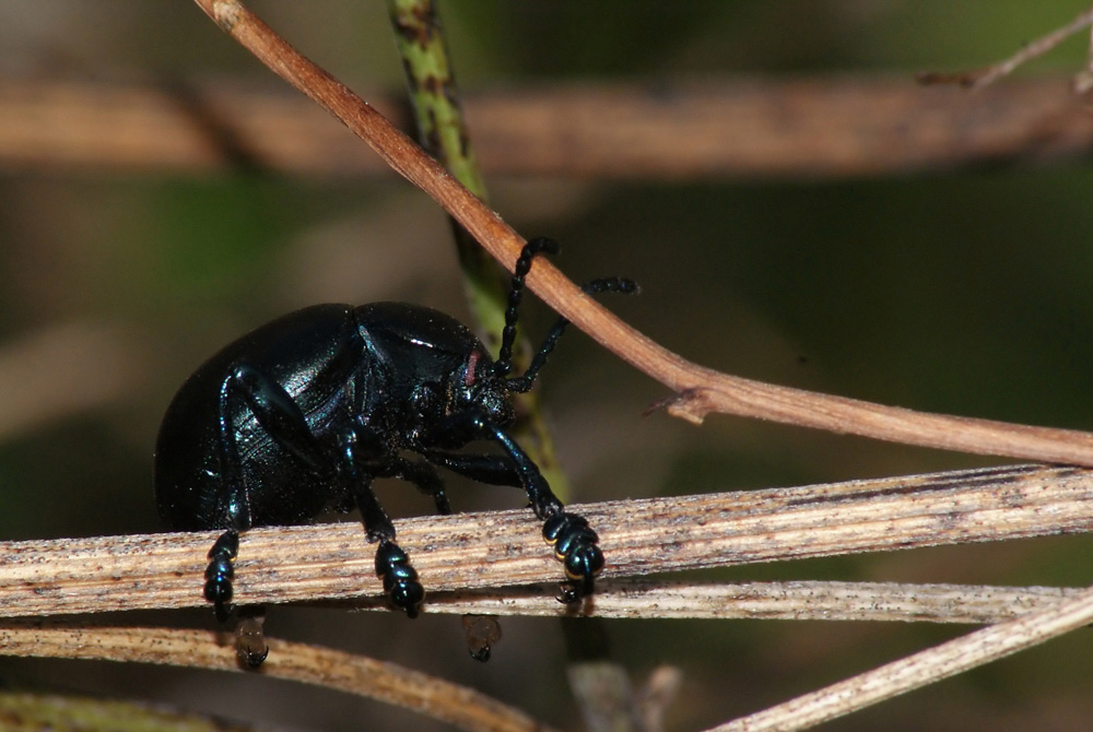 DSC04949web1.jpg