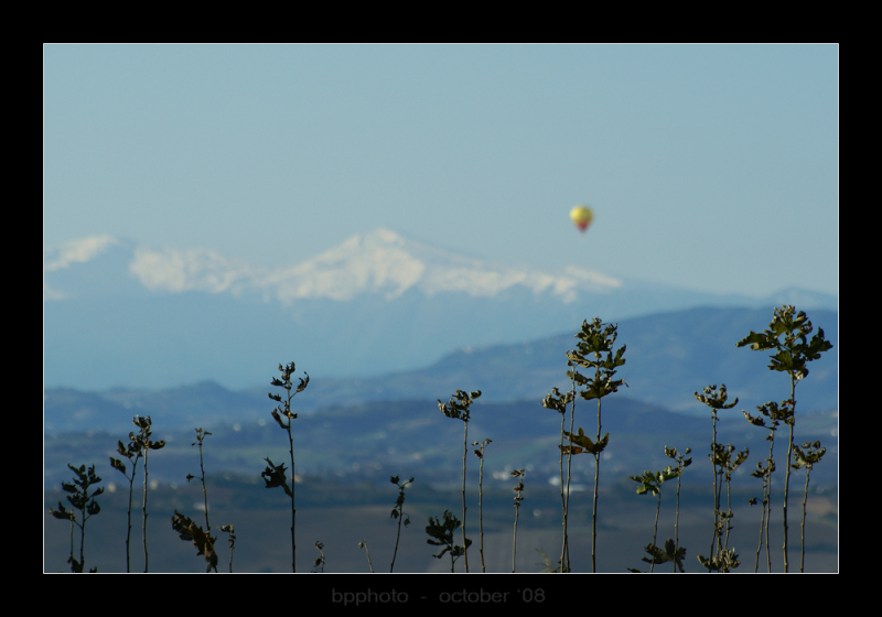 DSC04997webp.jpg