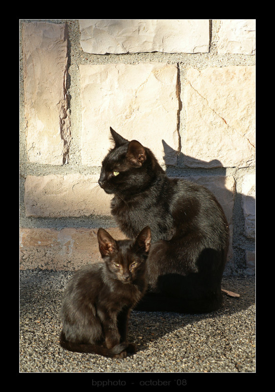 DSC04999webp.jpg