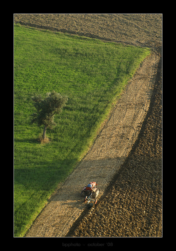 DSC05095webp.jpg