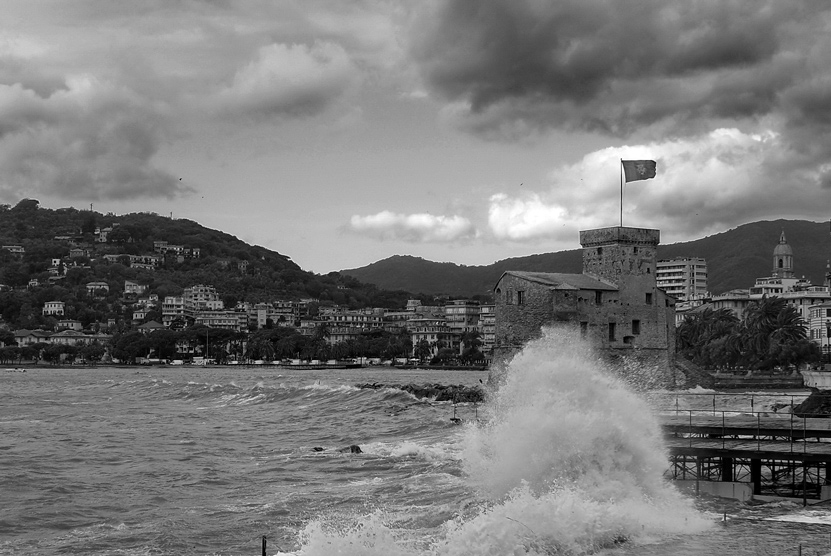 DSC05281bn_web.jpg