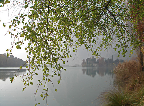 DSC05320p.jpg