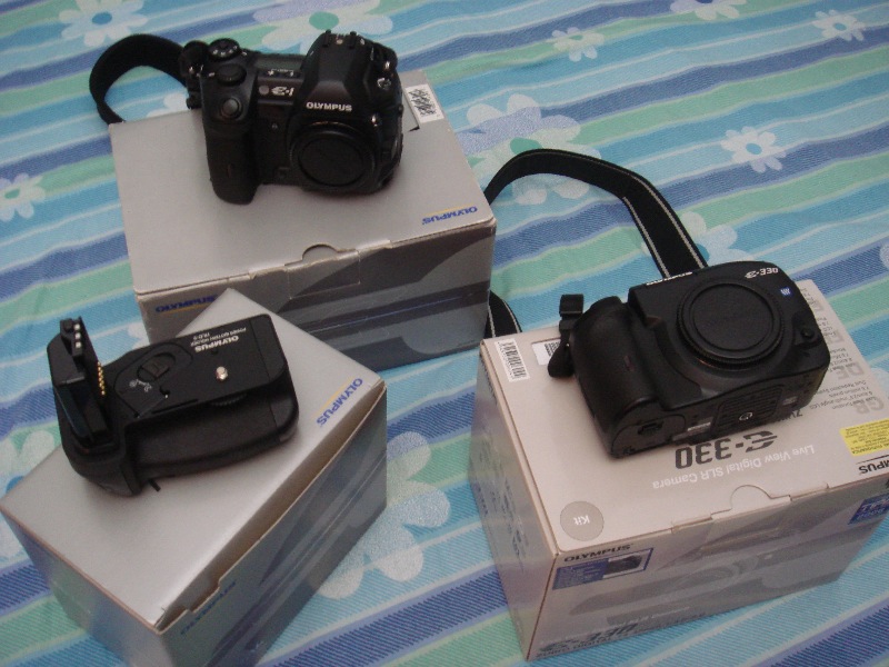 dsc05408g.jpg