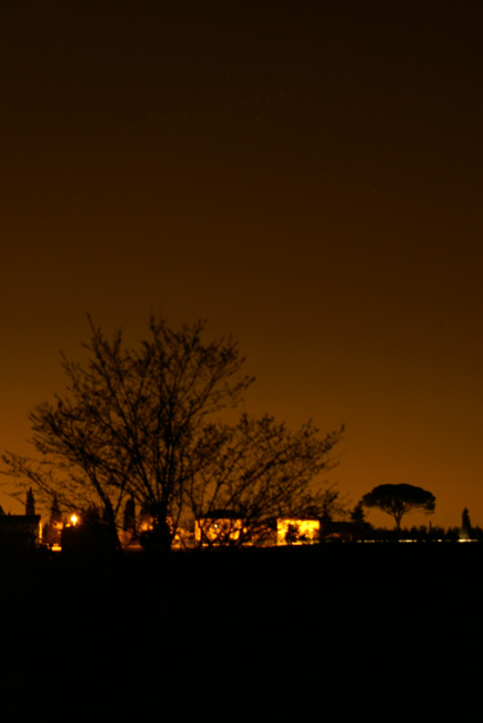 DSC05642alberoprova.jpg