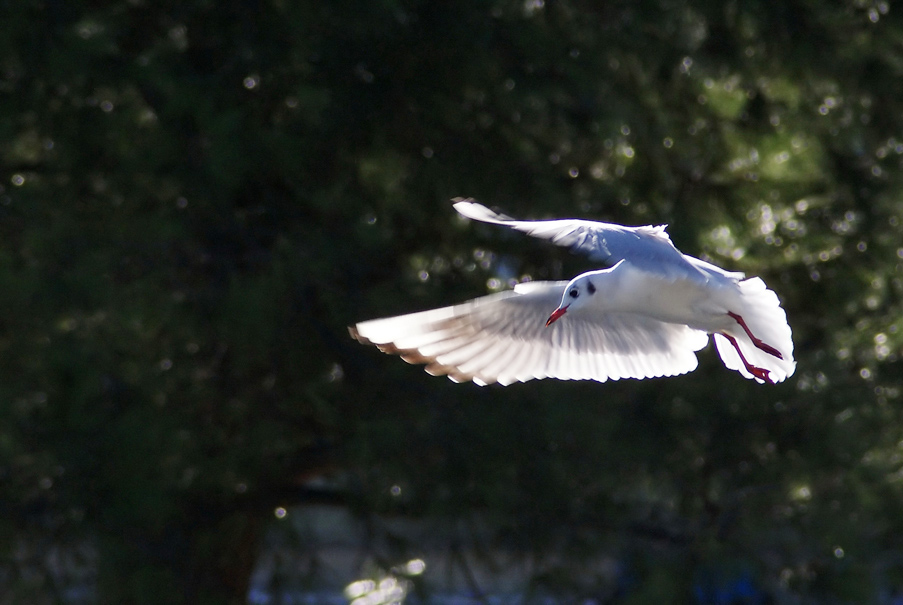 DSC05914_web2.jpg