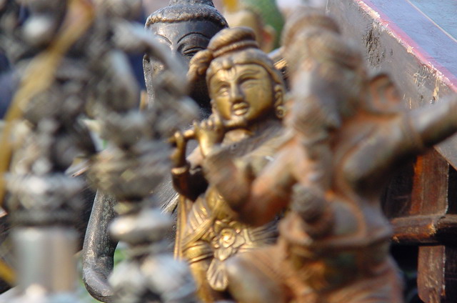 DSC07294_resize.JPG