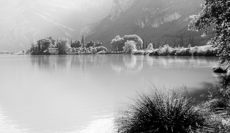 DSC075351-9pp.jpg