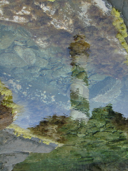 DSC07682.JPG