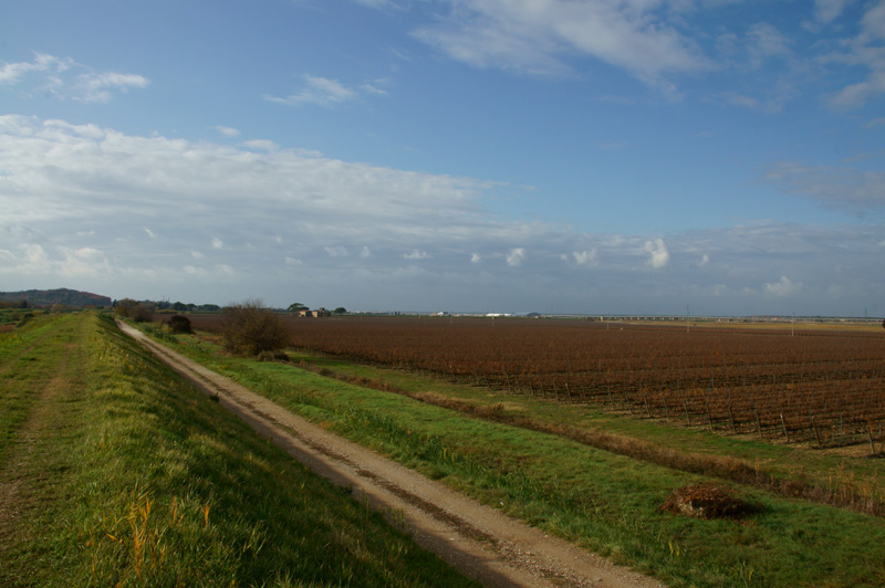 DSC07886.JPG