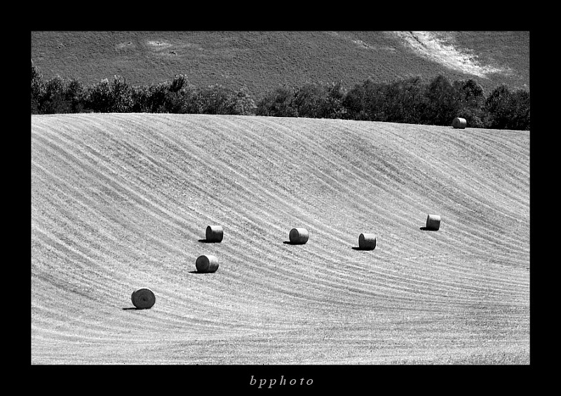 DSC07898bn3.JPG