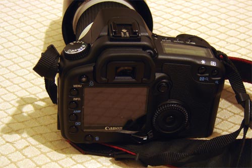 DSC08141.jpg