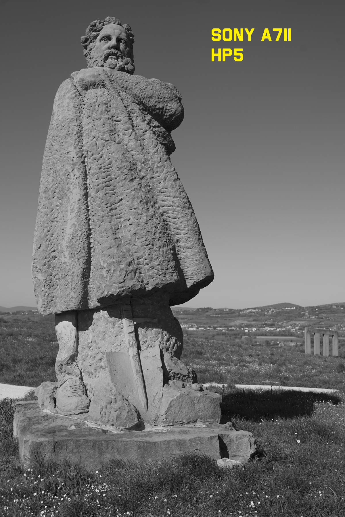 DSC09095r.jpg