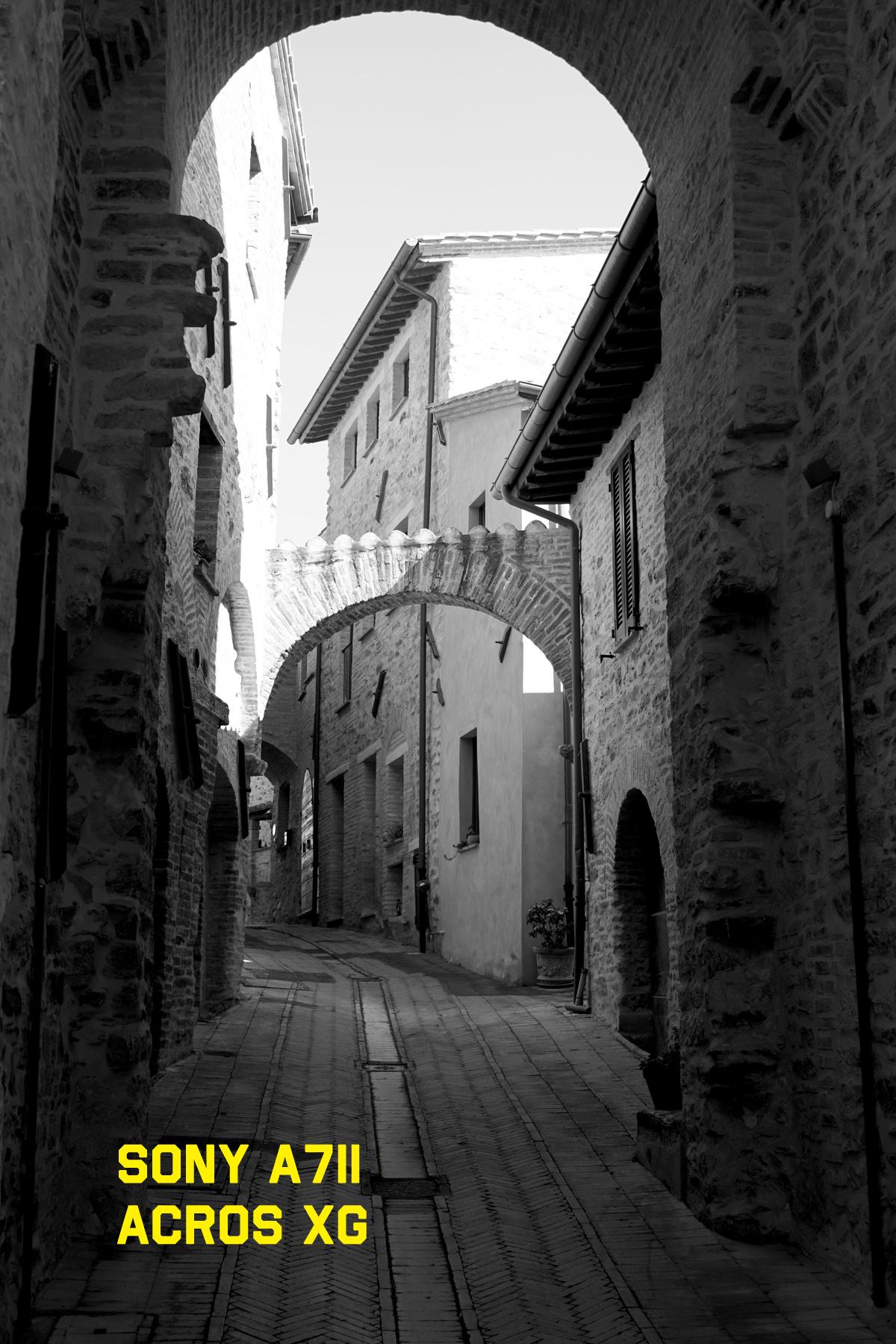 DSC09133r.jpg