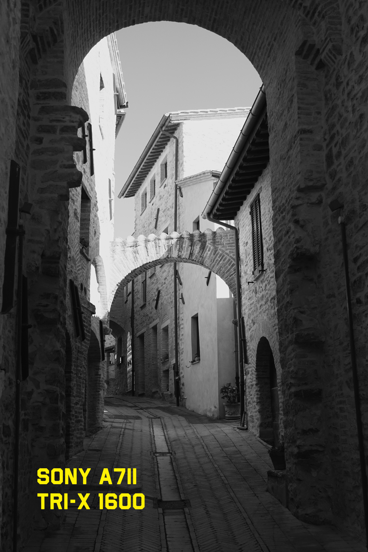 DSC09134r.jpg