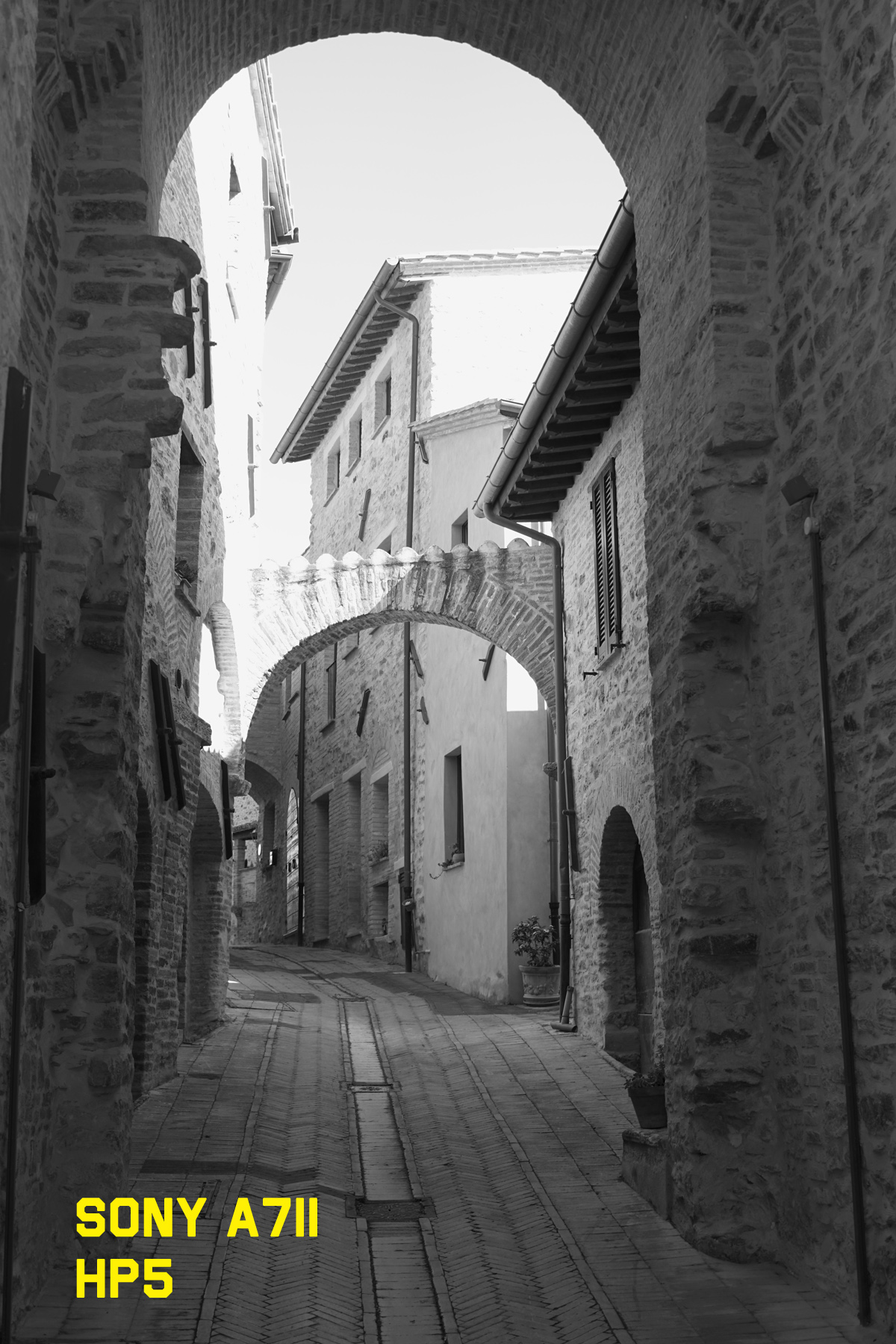 DSC09135r.jpg