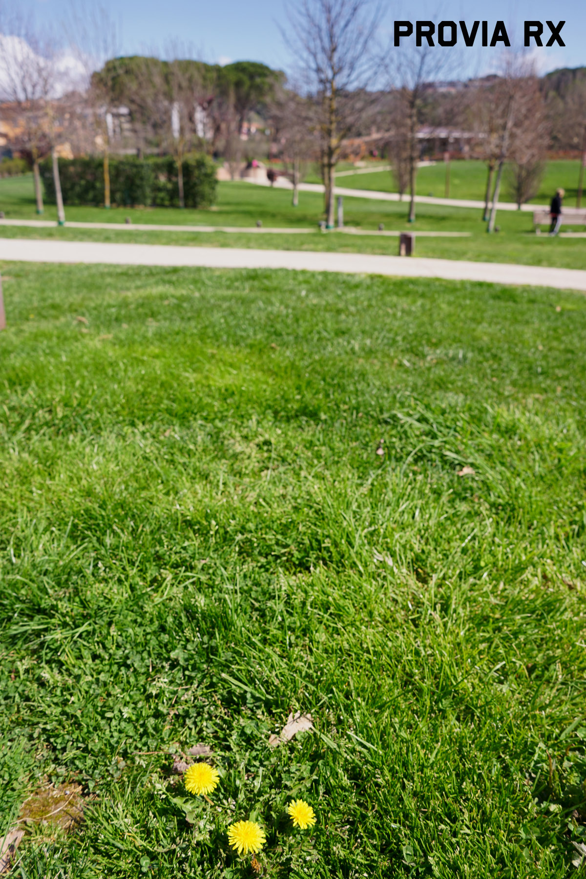 DSC09286r.jpg