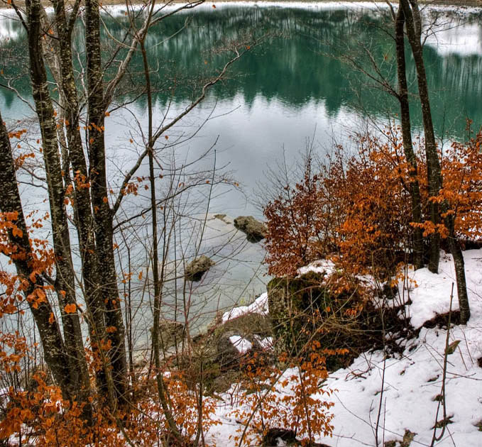 DSC3522_Q.jpg